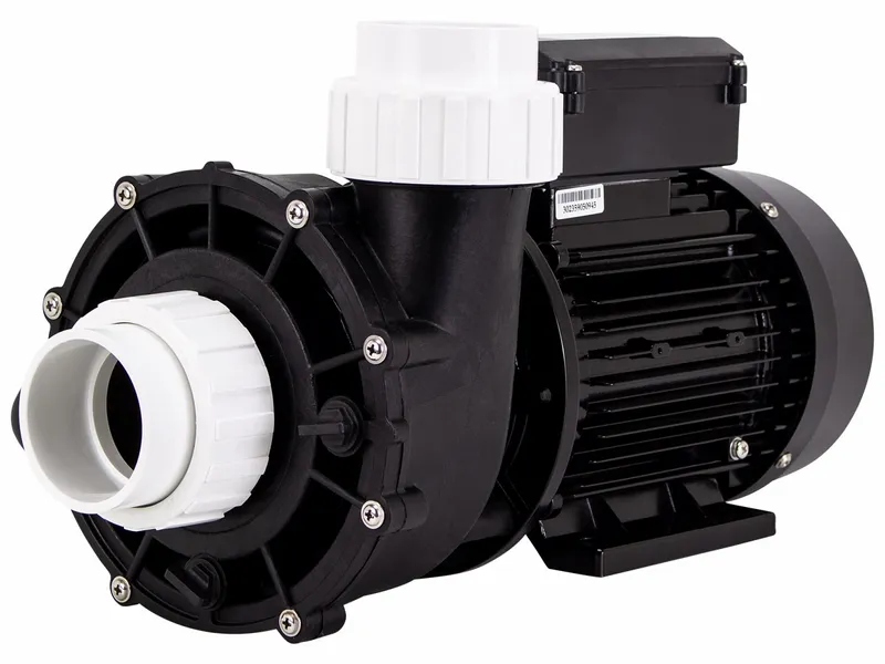 LX LP200 Spa Massagepomp 2 PK - 1 Speed 1 LX LP200 Spa Massagepomp 2 PK - 1 Speed